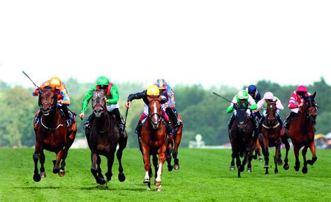 HISA Rules & Requirements for Thoroughbred Jockeys.